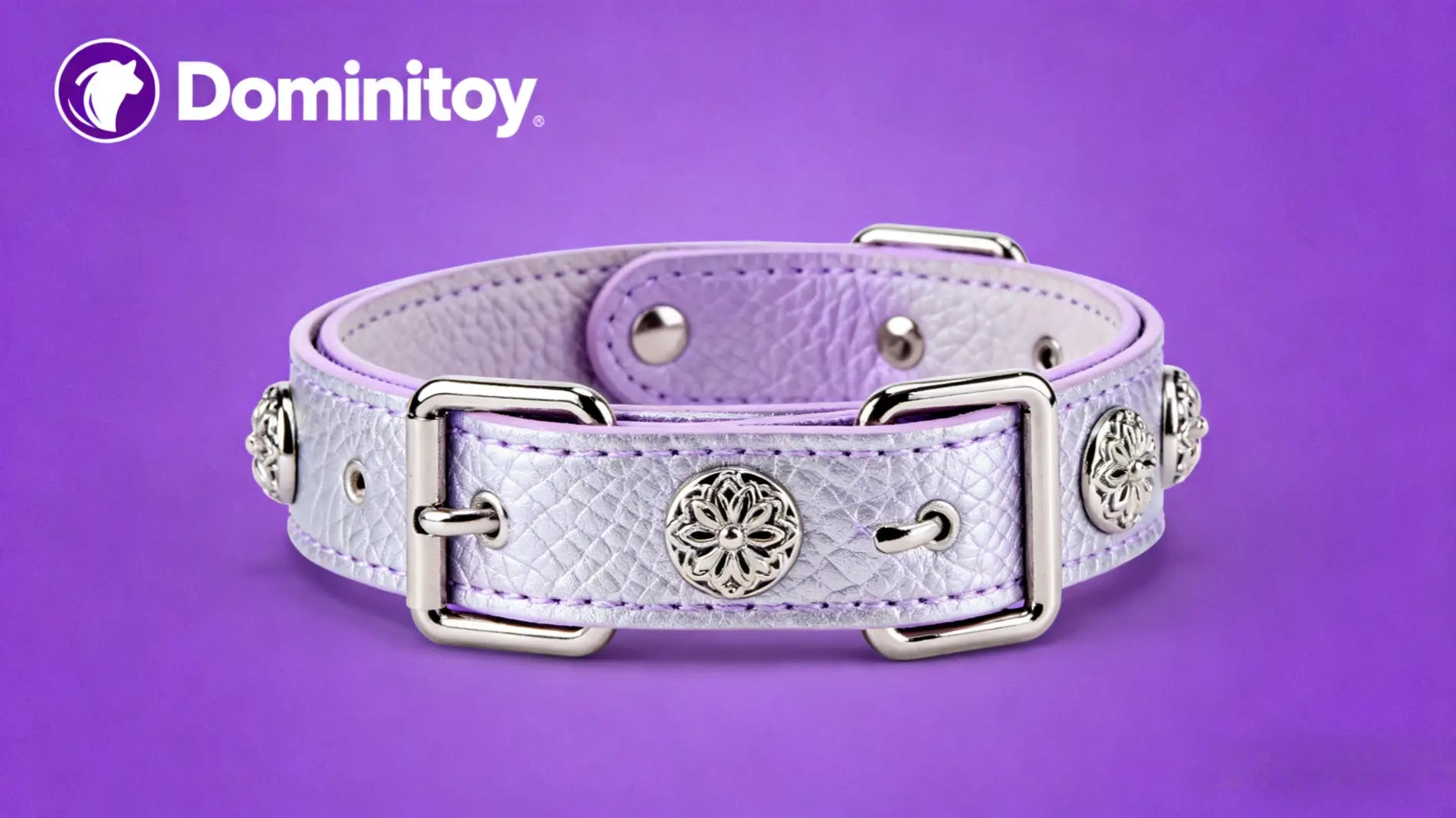 True Domination: It's About Trust, Not Obedience