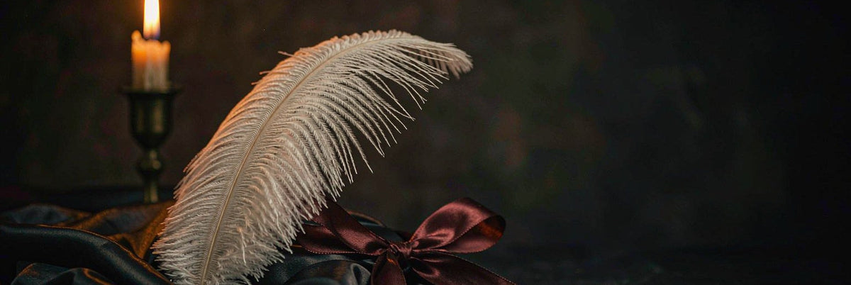 White ostrich feather on folded dark silk beside a loosely tied crimson ribbon
