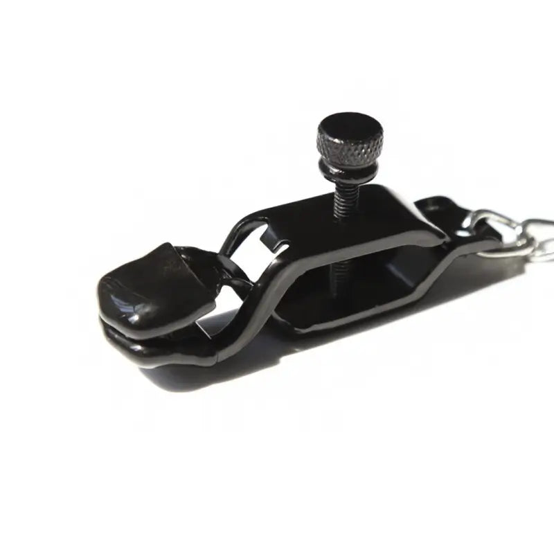 Metal Nipple Clamps with 43cm Chain
