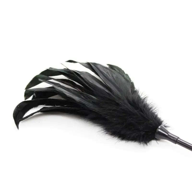 Feather Tickler & Leather Paddle for Sensation Play