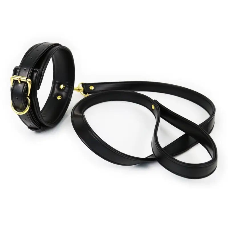 PU Leather BDSM Collar and Leash Set, Adjustable Padded Neck