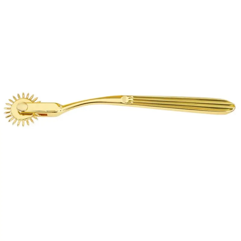 Wartenberg Wheel – 22-Spike Stainless Steel BDSM Pinwheel