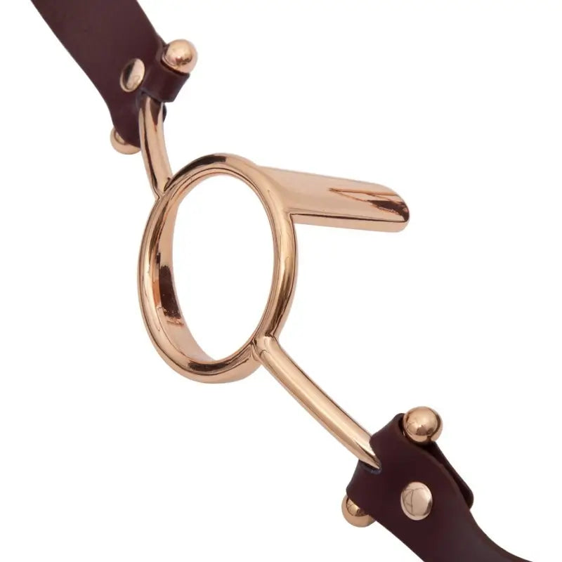 Rose Gold & Silver Deep Throat Metal Ring Gag with Tongue Depressor