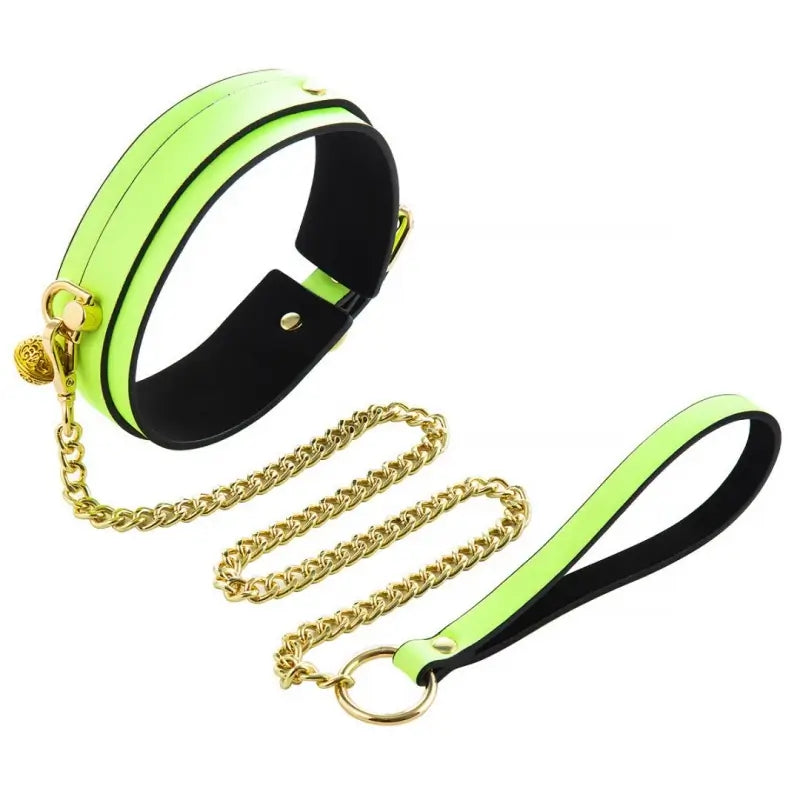 Glow-in-the-Dark BDSM Collar Leash Set with Gold Chain