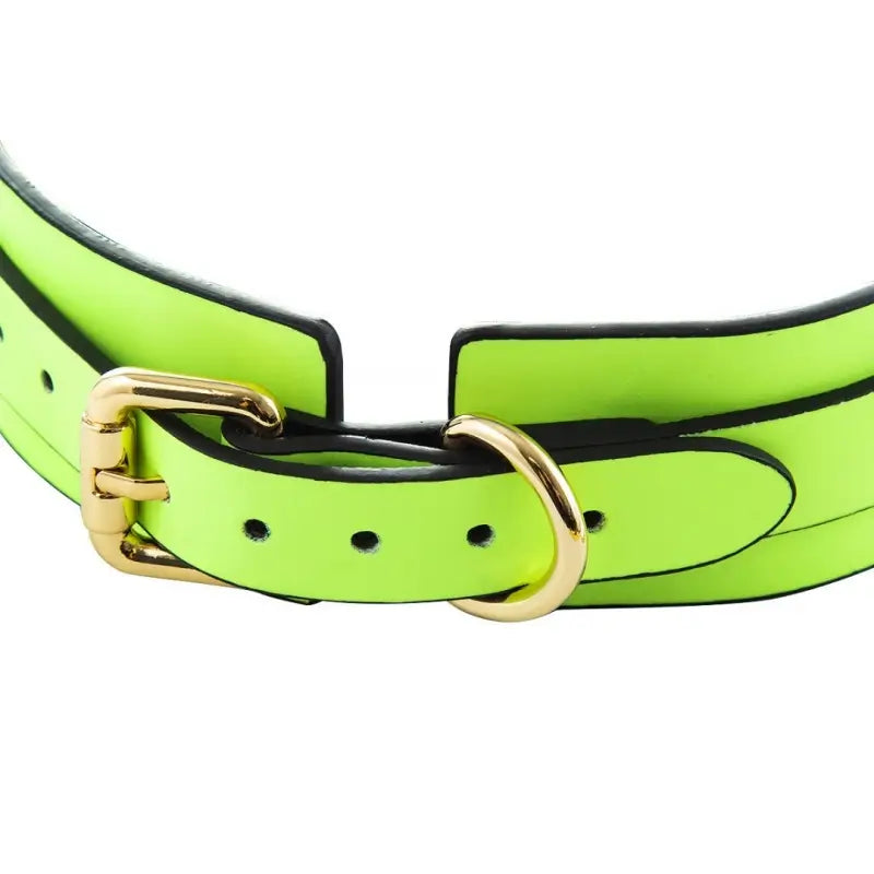 Glow-in-the-Dark BDSM Collar Leash Set with Gold Chain