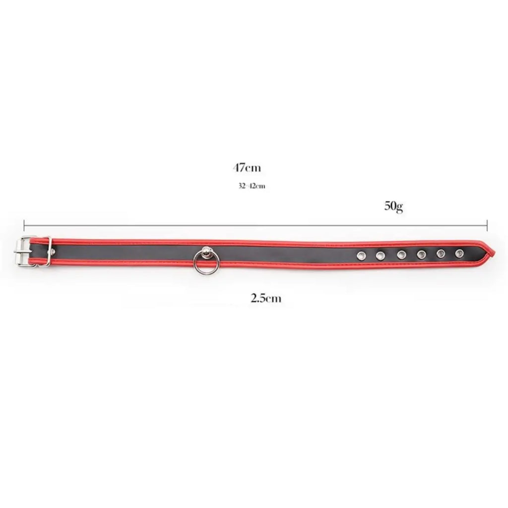 BDSM Collar: Adjustable Leather Restraint