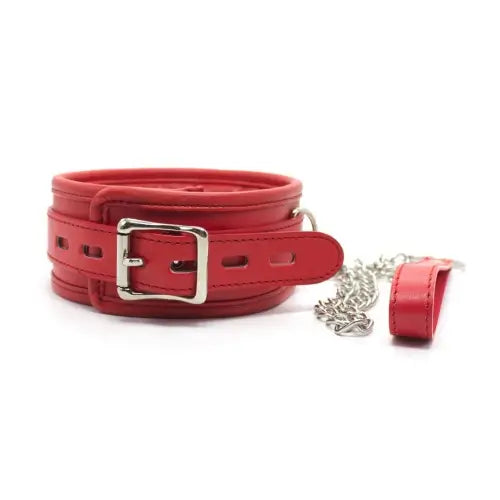 Collar and Leash Adjustable PU Leather Padded