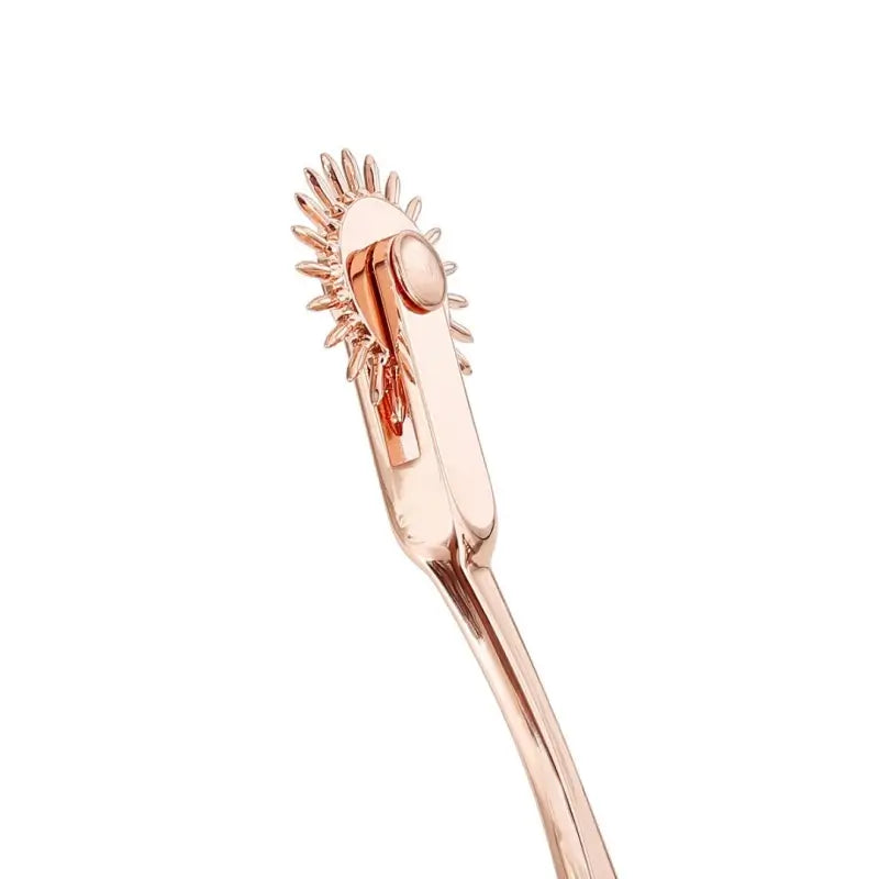 Wartenberg Wheel – 22-Spike Stainless Steel BDSM Pinwheel