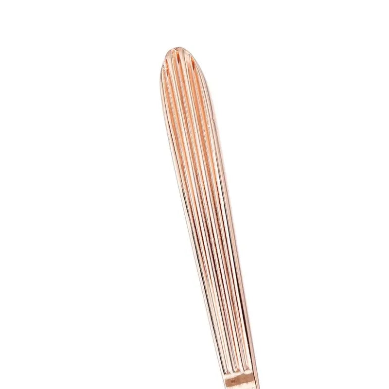 Wartenberg Wheel – 22-Spike Stainless Steel BDSM Pinwheel