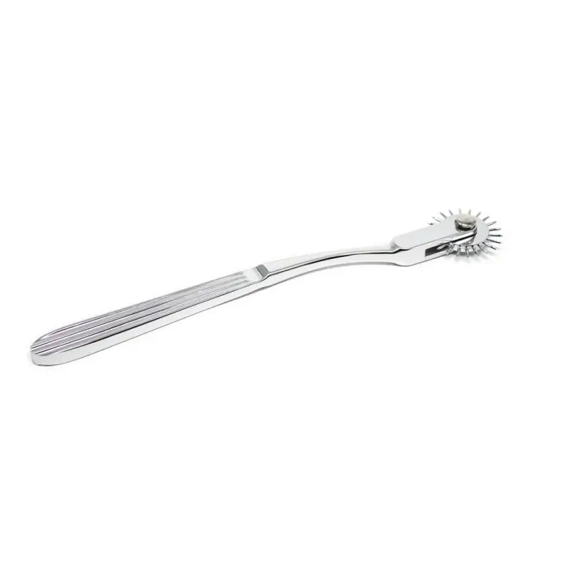 Wartenberg Wheel – 22-Spike Stainless Steel BDSM Pinwheel