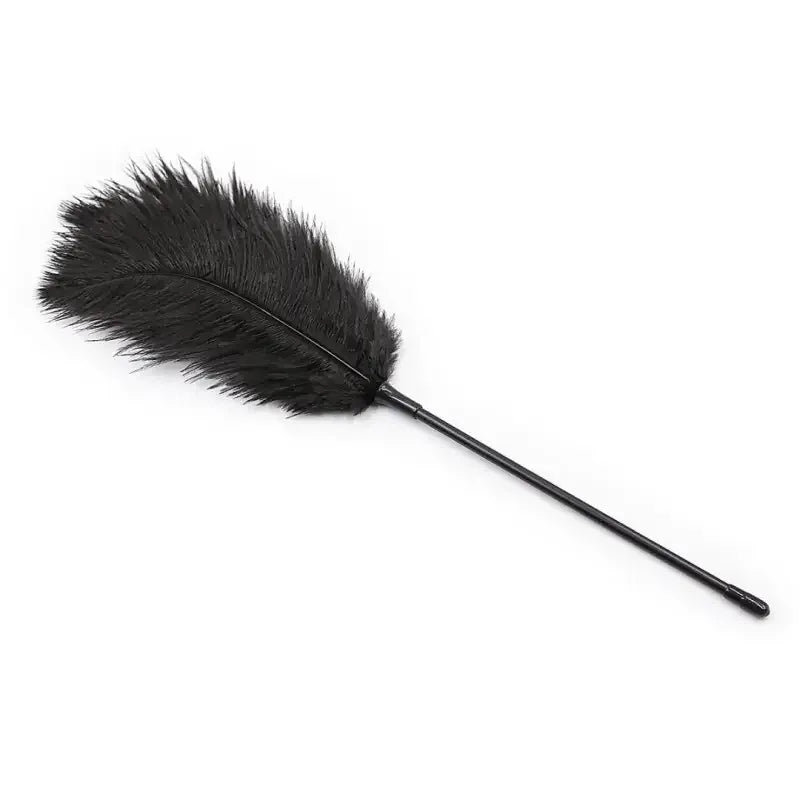 Domini Toy Black / 2 Pieces Feather Tickler — Soft Ostrich Feather Teaser for Couples Foreplay & BDSM