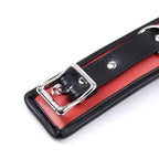 Domini Toy Collar and Leash Adjustable PU Leather Padded
