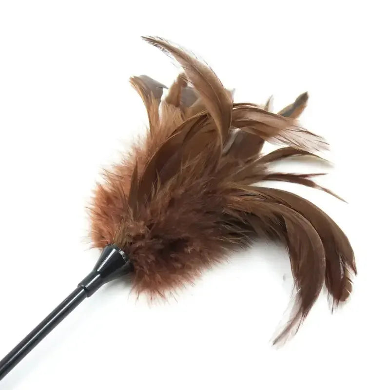 Domini Toy Feather Tickler & Leather Paddle for Sensation Play
