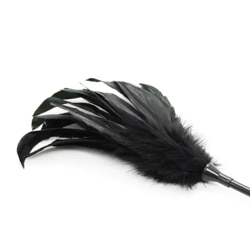 Domini Toy Feather Tickler & Leather Paddle for Sensation Play