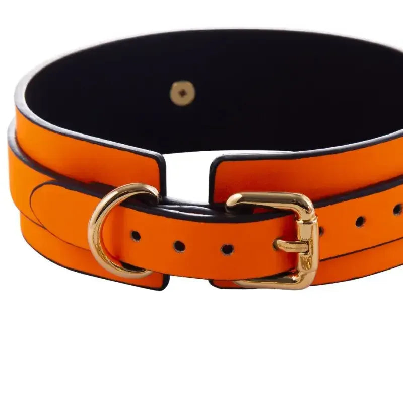 Domini Toy Glow-in-the-Dark BDSM Collar Leash Set with Gold Chain