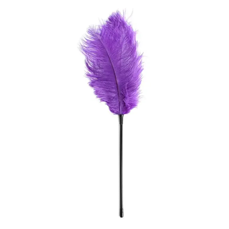 Domini Toy Purple / 2 Pieces Feather Tickler — Soft Ostrich Feather Teaser for Couples Foreplay & BDSM
