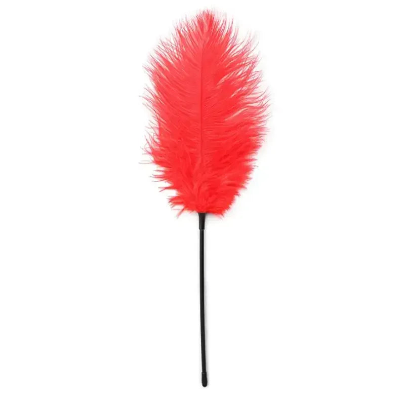 Domini Toy Red / 2 Pieces Feather Tickler — Soft Ostrich Feather Teaser for Couples Foreplay & BDSM