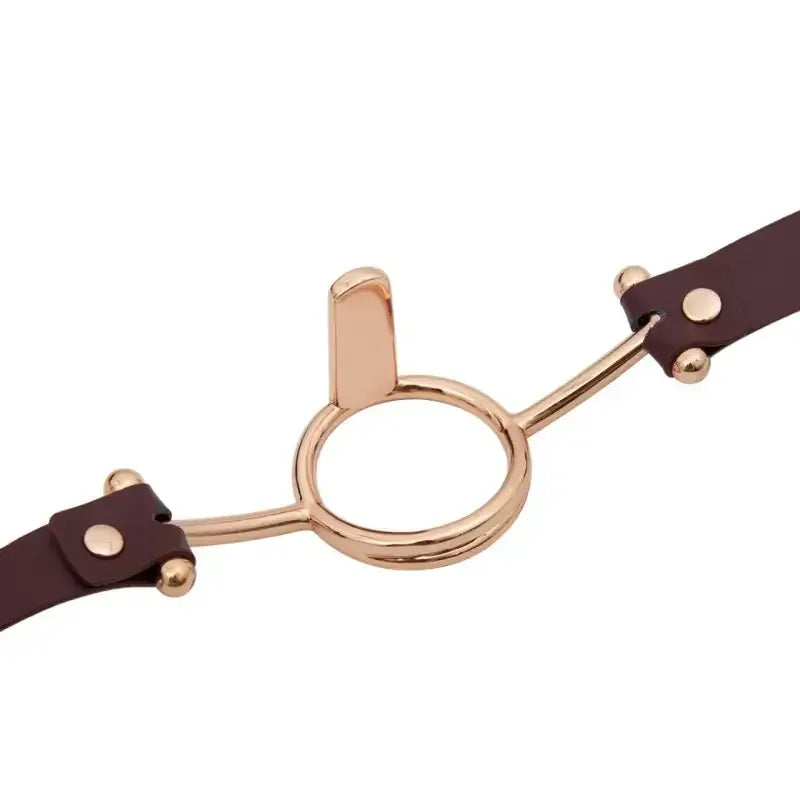 Domini Toy Rose Gold & Silver Deep Throat Metal Ring Gag with Tongue Depressor