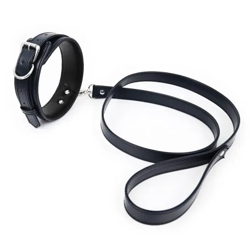 Dominitoy Blue PU Leather BDSM Collar and Leash Set, Adjustable Padded Neck