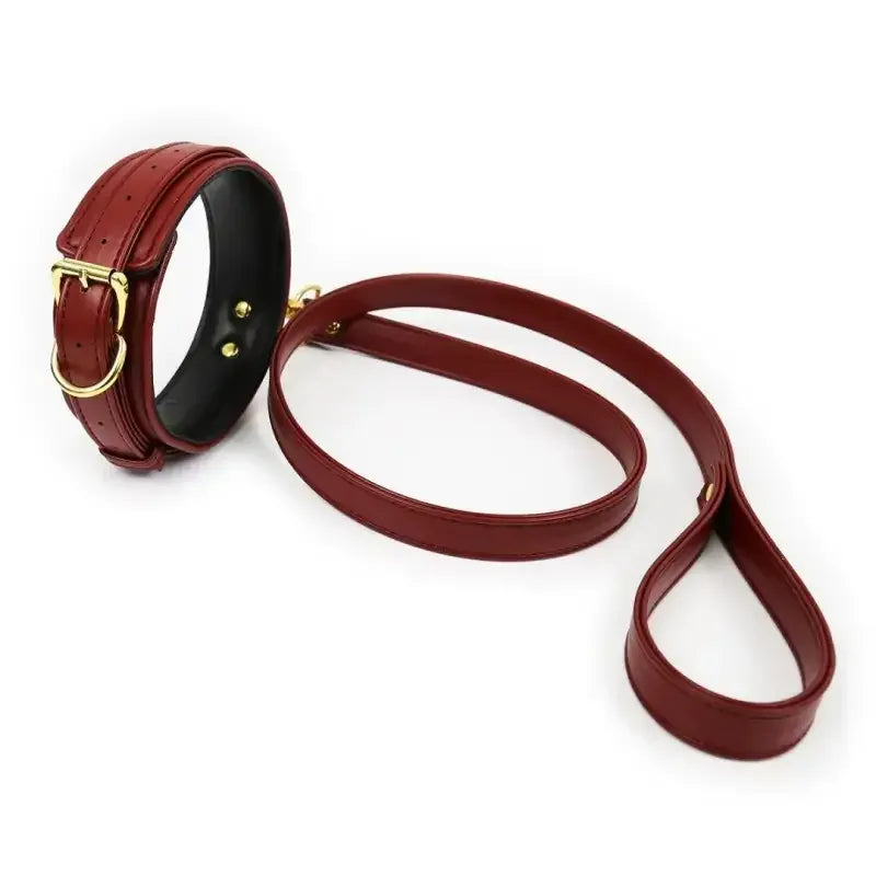 Dominitoy Coffee PU Leather BDSM Collar and Leash Set, Adjustable Padded Neck