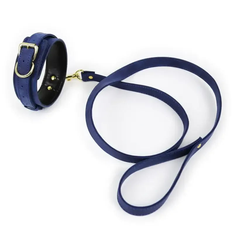 Dominitoy Navy PU Leather BDSM Collar and Leash Set, Adjustable Padded Neck