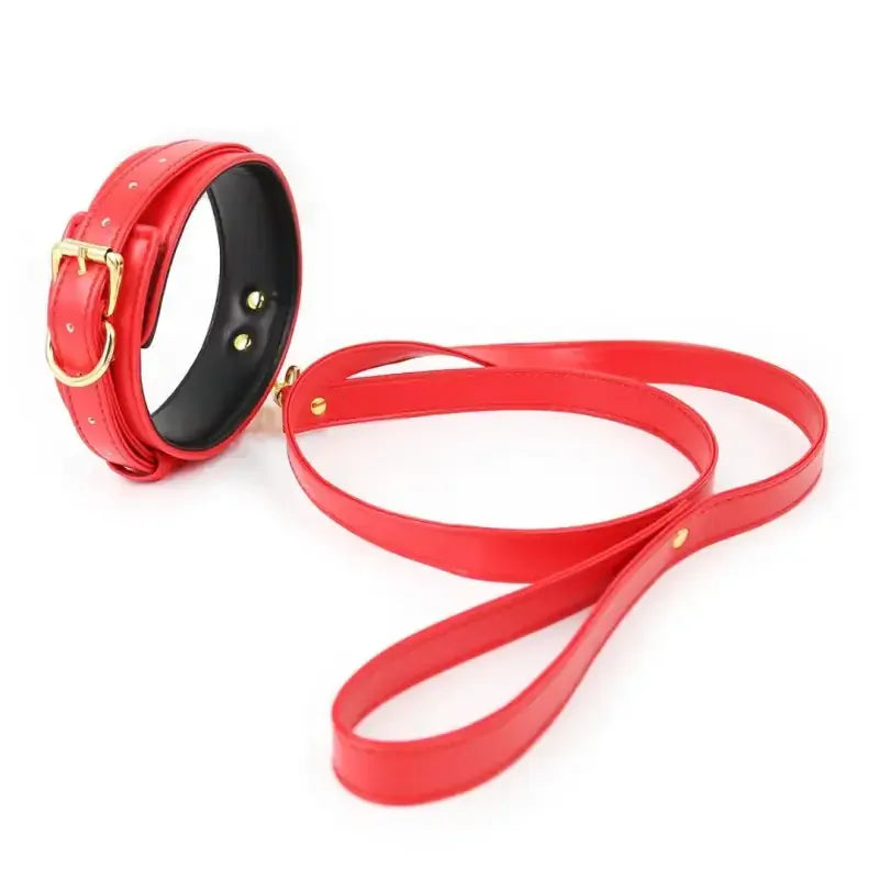 Dominitoy Red PU Leather BDSM Collar and Leash Set, Adjustable Padded Neck