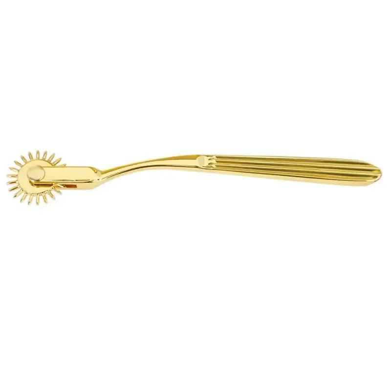 Dominitoy Wartenberg Wheel – 22-Spike Stainless Steel BDSM Pinwheel