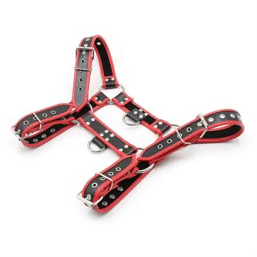 Red Leather Chest Harness for Men